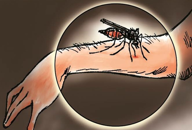 Puluhan Warga Bolmong Diserang Wabah Malaria