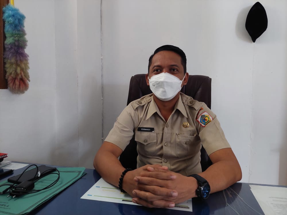 Yosnandi Damopolii CPNS