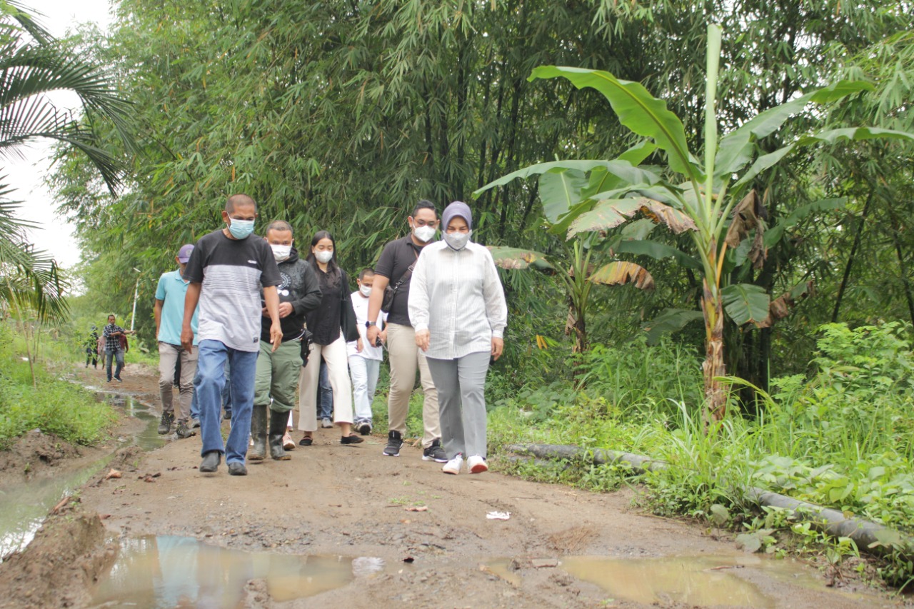 Wali Kota Tatong Bara Tinjau Lokasi Rencana Pembangunan Jembatan Monsi dan TPA Baru